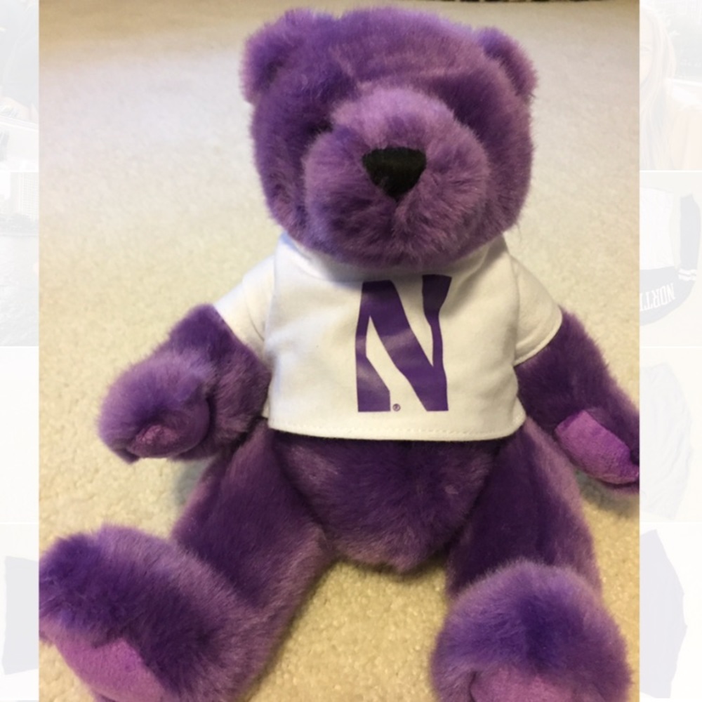 Northwestern University Teddy Bear